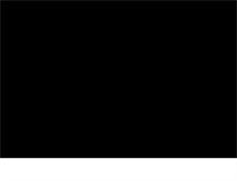 Tablet Screenshot of littletokyola.org
